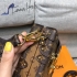 Louis Vuitton Bag 059